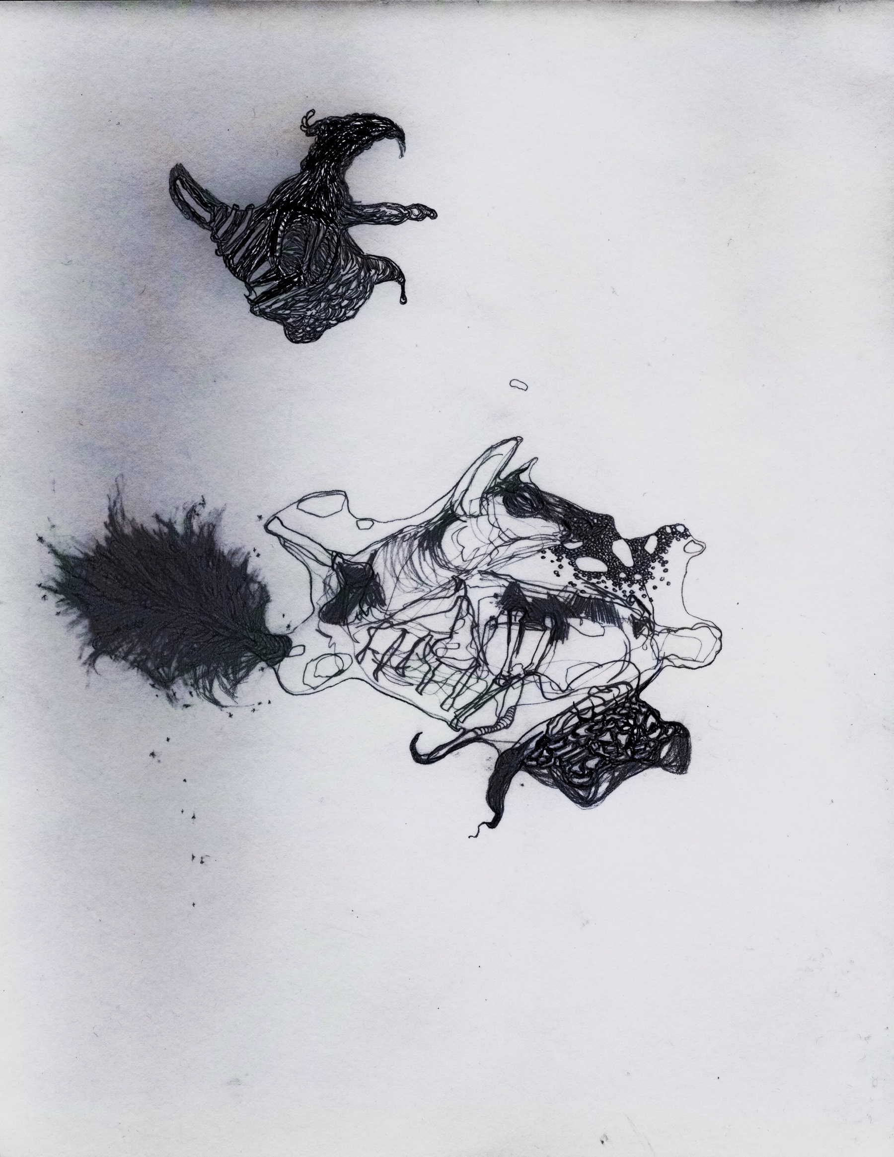 Auto-generated description: Abstract ink drawing featuring organic shapes and fluid, intertwined lines on a white background.
